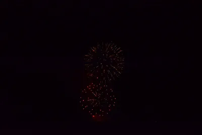 DSC_3393 (Large).JPG